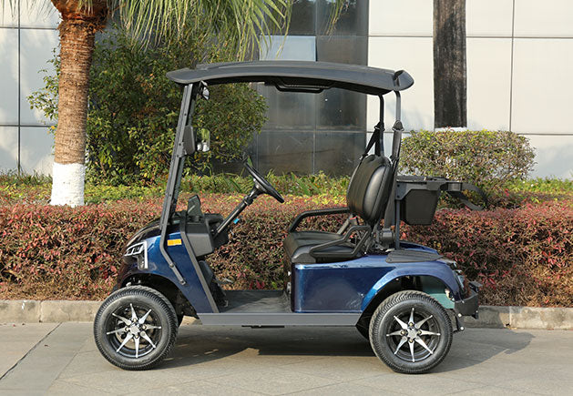 WSM JX2-105 — Carro de golf eléctrico 2 plazas