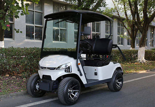 WSM JX2-105 - Carrito de golf eléctrico 2 plazas (homologación L6e disponible en configuración europea)