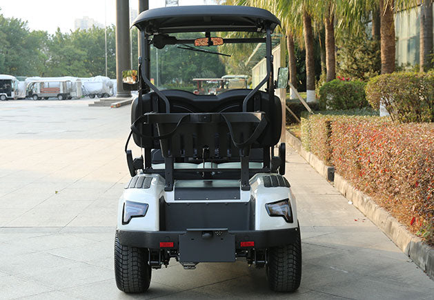 WSM JX2-105 | Carro de Golf Eléctrico 2 Plazas (Usado)