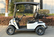 WSM JX2-105 — Carro de golf eléctrico 2 plazas