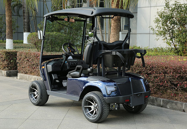 WSM JX2-105 - Carrito de golf eléctrico 2 plazas (homologación L6e disponible en configuración europea)