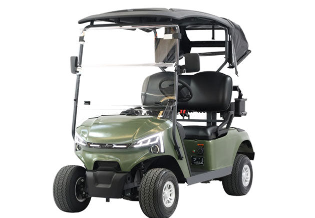 WSM JX2-105 - Carrito de golf eléctrico 2 plazas (homologación L6e disponible en configuración europea)
