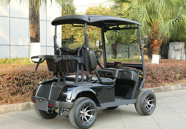 WSM JX2-105 — Carro de golf eléctrico 2 plazas