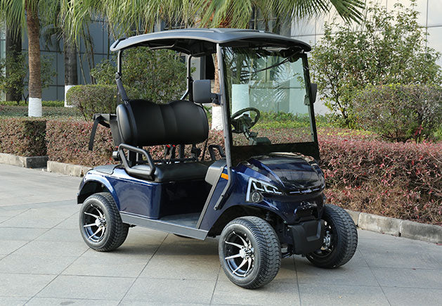 WSM JX2-105 | Carro de Golf Eléctrico 2 Plazas (Usado)