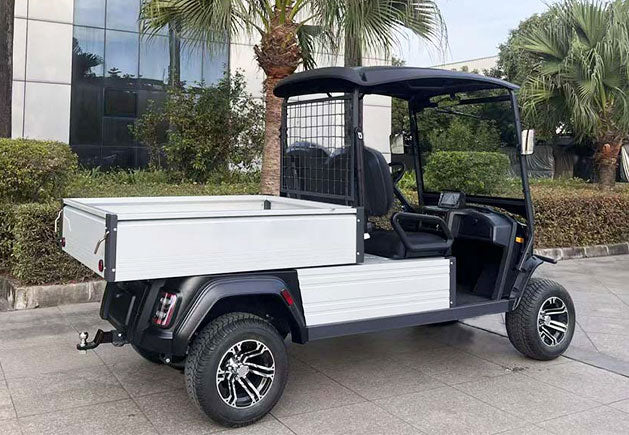 WSM JX2-Cargo-150 - Vehículo utilitario eléctrico 2 asientos con cama basculante hidráulica y homologación L7e
