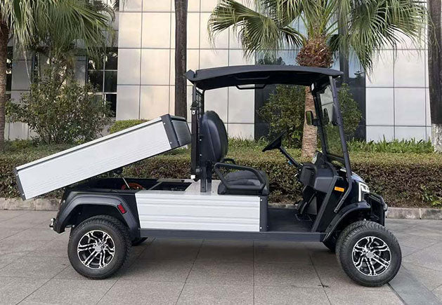 WSM JX2-Cargo-150 - Vehículo utilitario eléctrico 2 asientos con cama basculante hidráulica y homologación L7e