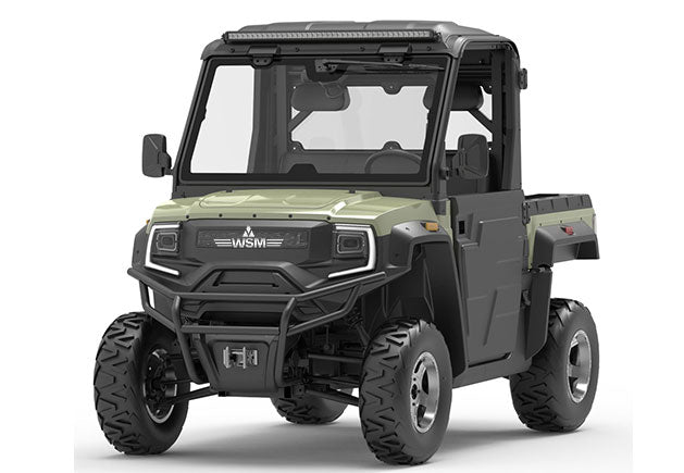 WSM RTX 1100 - Carro de golf/utilitario eléctrico 2 asientos con plataforma basculante y aprobación vial