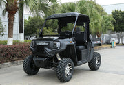 WSM RTX 1100 - Carro de golf/utilitario eléctrico 2 asientos con plataforma basculante y aprobación vial